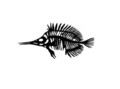 Decoratiune de perete, Fish, Metal, Dimensiune: 35 x 20 cm, Negru