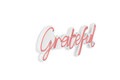 Decoratiune luminoasa LED, Grateful, Benzi flexibile de neon, DC 12 V, Roz