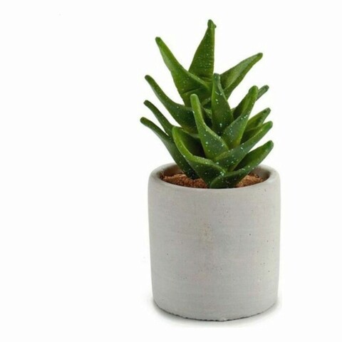 Planta decorativa Cactus, Ibergarden, 7x7x14 cm, plastic, gri