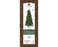 Brad de Craciun cu conuri Norwich Pine, Everlands, 882 varfuri, 99x210 cm, verde