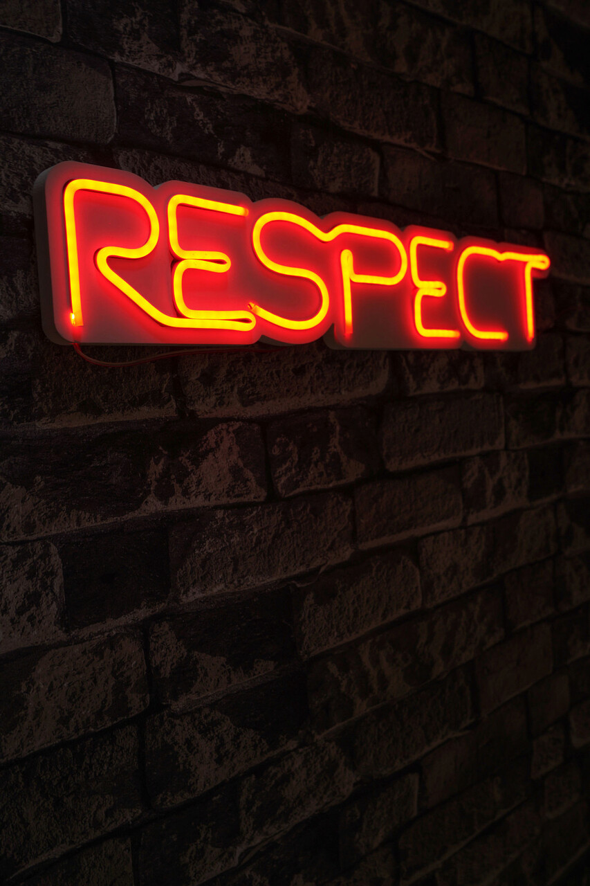 Decoratiune luminoasa LED, Respect, Benzi flexibile de neon, DC 12 V, Rosu