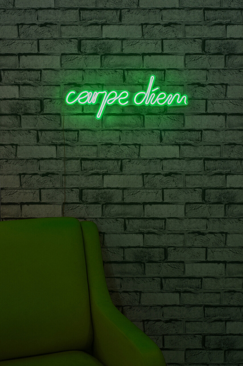 Decoratiune luminoasa LED, Carpe Diem, Benzi flexibile de neon, DC 12 V, Verde - 1 | YEO