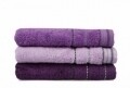 Set 3 prosoape de baie Beverly Hills Polo Club, 70x140 cm, 100% bumbac, Purple/Dark Purple/Light Purple