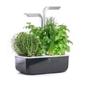 Jardiniera SMART Garden, Veritable 33 x 18.5 x 45 cm, Soft Black