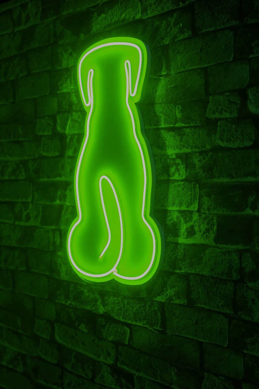 Decoratiune luminoasa LED, Doggy, Benzi flexibile de neon, DC 12 V, Verde