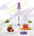 Blender de mana, Heinner, multifunctional, 600 W, 5 viteze, violet