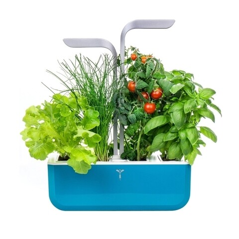 Jardiniera SMART Garden, Veritable 33 x 18.5 x 45 cm, Blue