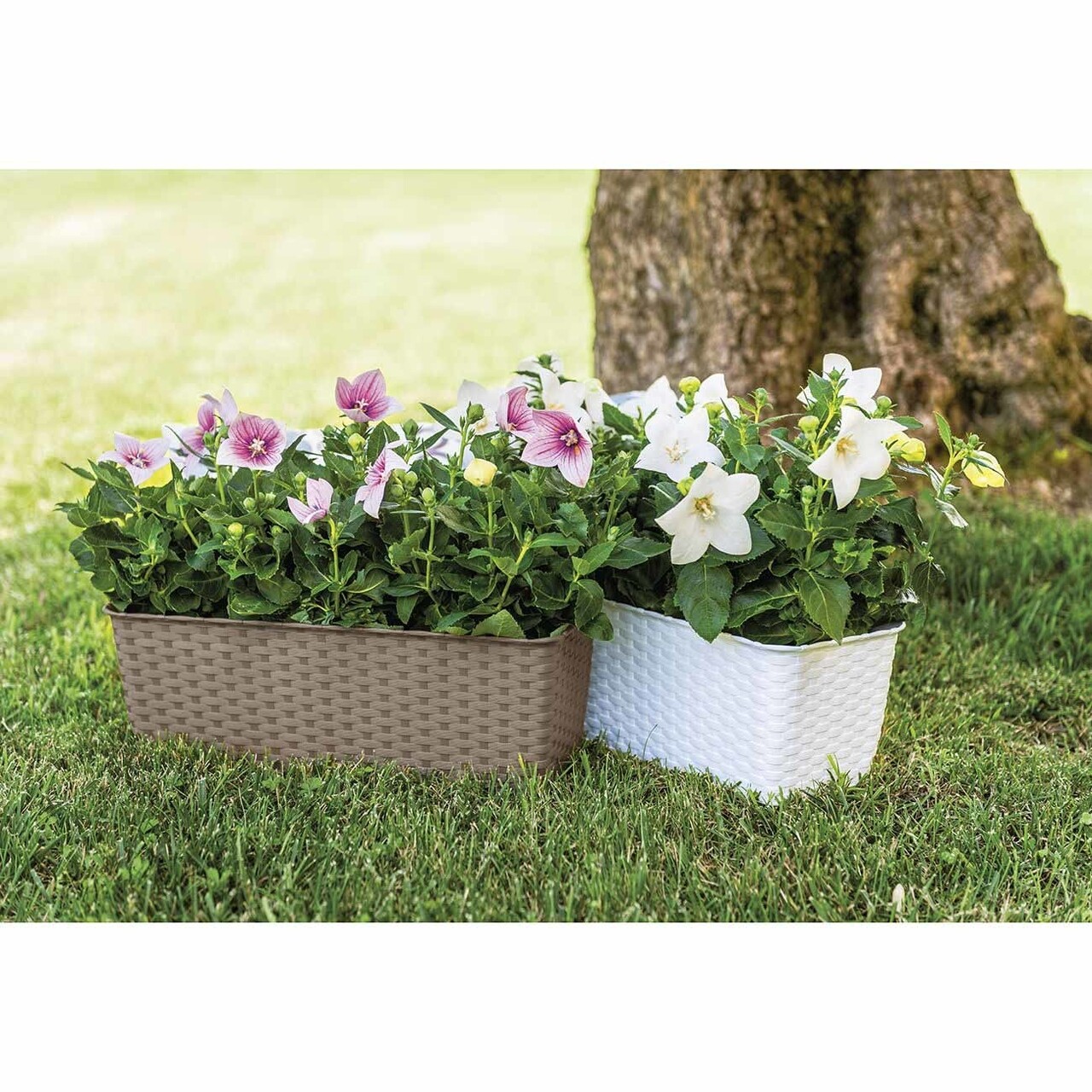 Jardiniera Rattan 50 Cm, Plastic, Alb