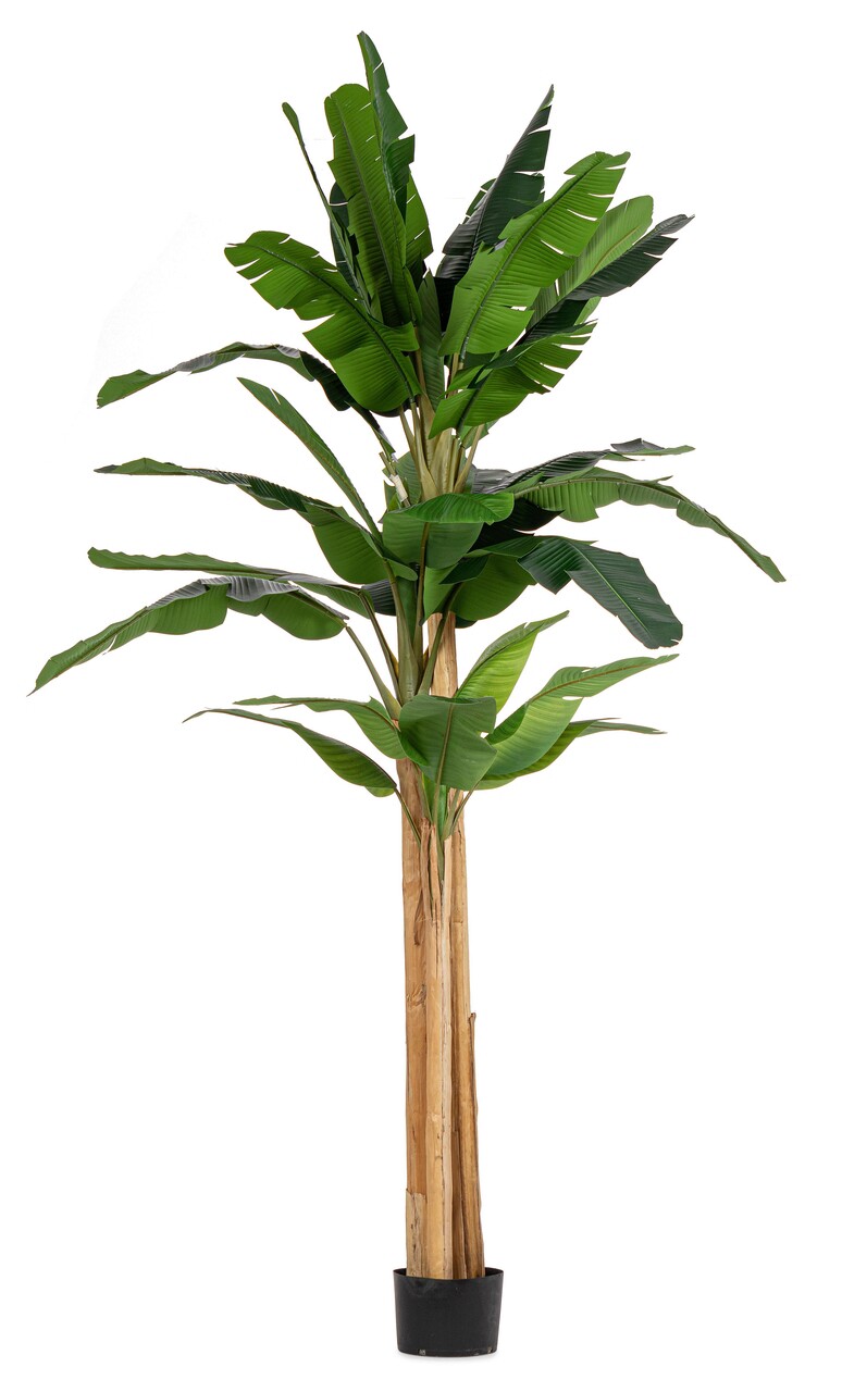 Planta artificiala in ghiveci Banan, Bizzotto, Ø180 x 320 cm, 30 frunze, frunze de arbore de cauciuc/trunchi de bananier