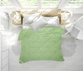 Pilota 4 Anotimpuri, Bamboo Sense, 200x220 cm, 250 g + 150 g, fibra de bambus, verde