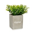 Planta artificiala Home, Ibergarden, 8x8x20 cm, plastic, gri