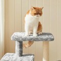 Ansamblu de joaca pisici / arbore pentru pisici Cat Condo, Feandrea, 46x41x84 cm, PAL/plus/sisal, gri deschis