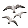 Decoratiune de perete, Flying Seagulls, Poliester, Alb/Negru