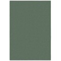 Covor Mellow Soft Green, Flair Rugs, 120x170 cm, poliester, verde