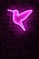 Decoratiune luminoasa LED, Little Bird, Benzi flexibile de neon, DC 12 V, Roz