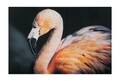 Tablou decorativ Flamingo -B, Mauro Ferretti, 120x80 cm, canvas, multicolor