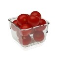 Organizator pentru frigider Versa, 7.7x7.7x5.6 cm, plastic