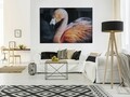 Tablou decorativ Flamingo -B, Mauro Ferretti, 120x80 cm, canvas, multicolor