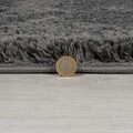 Covor Feather Soft Charcoal, Flair Rugs, 120x170 cm, polipropilena, carbune