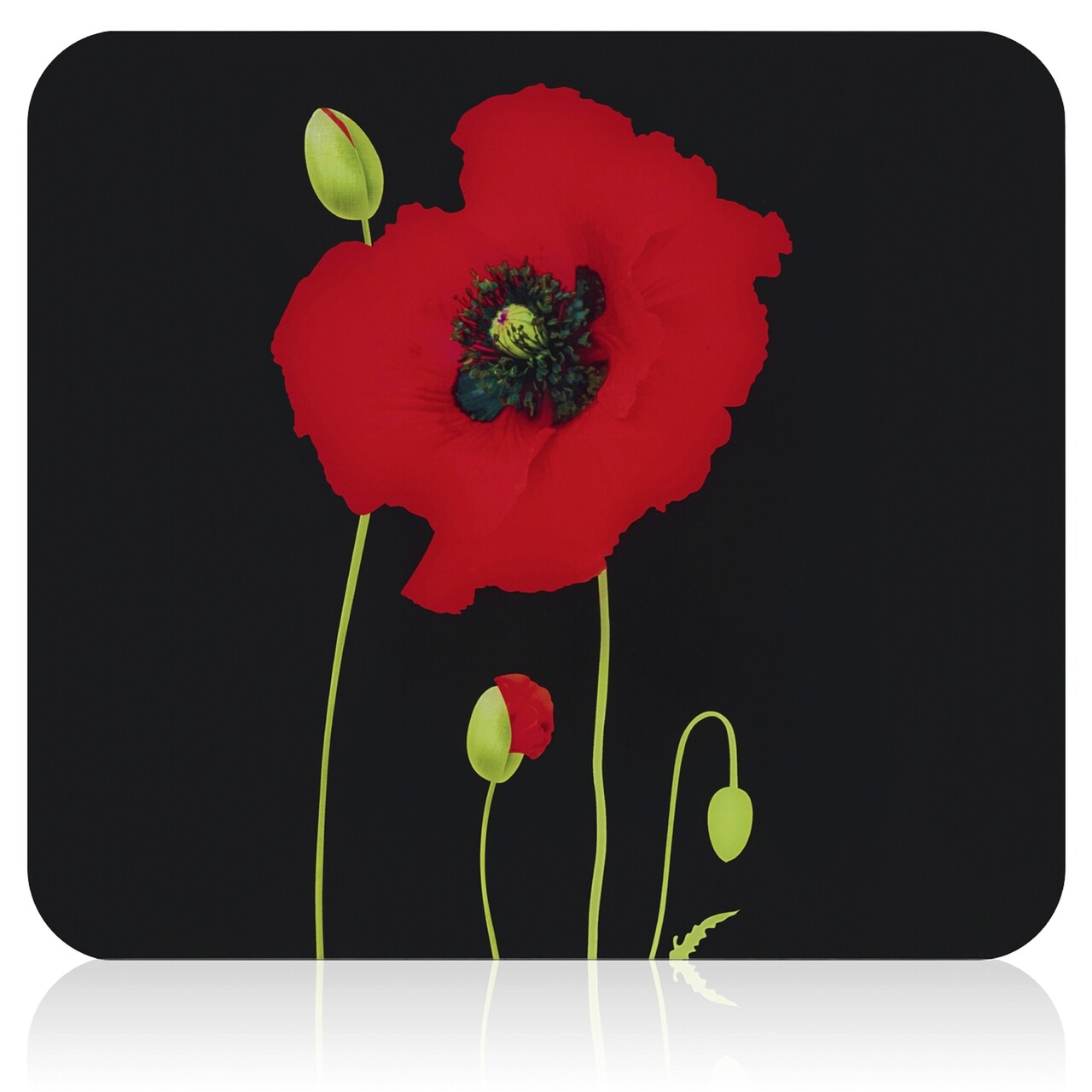 Protectie universala pentru aragaz Maximex, Poppy, 56x50 cm, sticla, multicolor