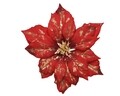 Decoratiune Poinsettia velvet, Decoris, 24x5 cm, poliester, rosu/auriu