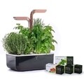 Jardiniera SMART Garden, Veritable 33 x 18.5 x 45 cm, Copper