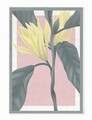 Covor Casiope, Oyo Concept, 140x220 cm, poliester, multicolor