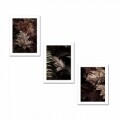 Set 3 tablouri decorative, Alpha Wall, Woods, 30x40 cm