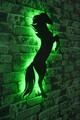 Decoratiune luminoasa LED, Wild Horse, MDF, 60 LED-uri, Verde