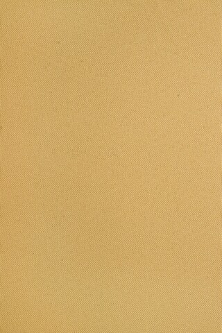 Perna pentru sezlong Poly180, Bizzotto, 190 x 63 cm, poliester impermeabil, galben mustar