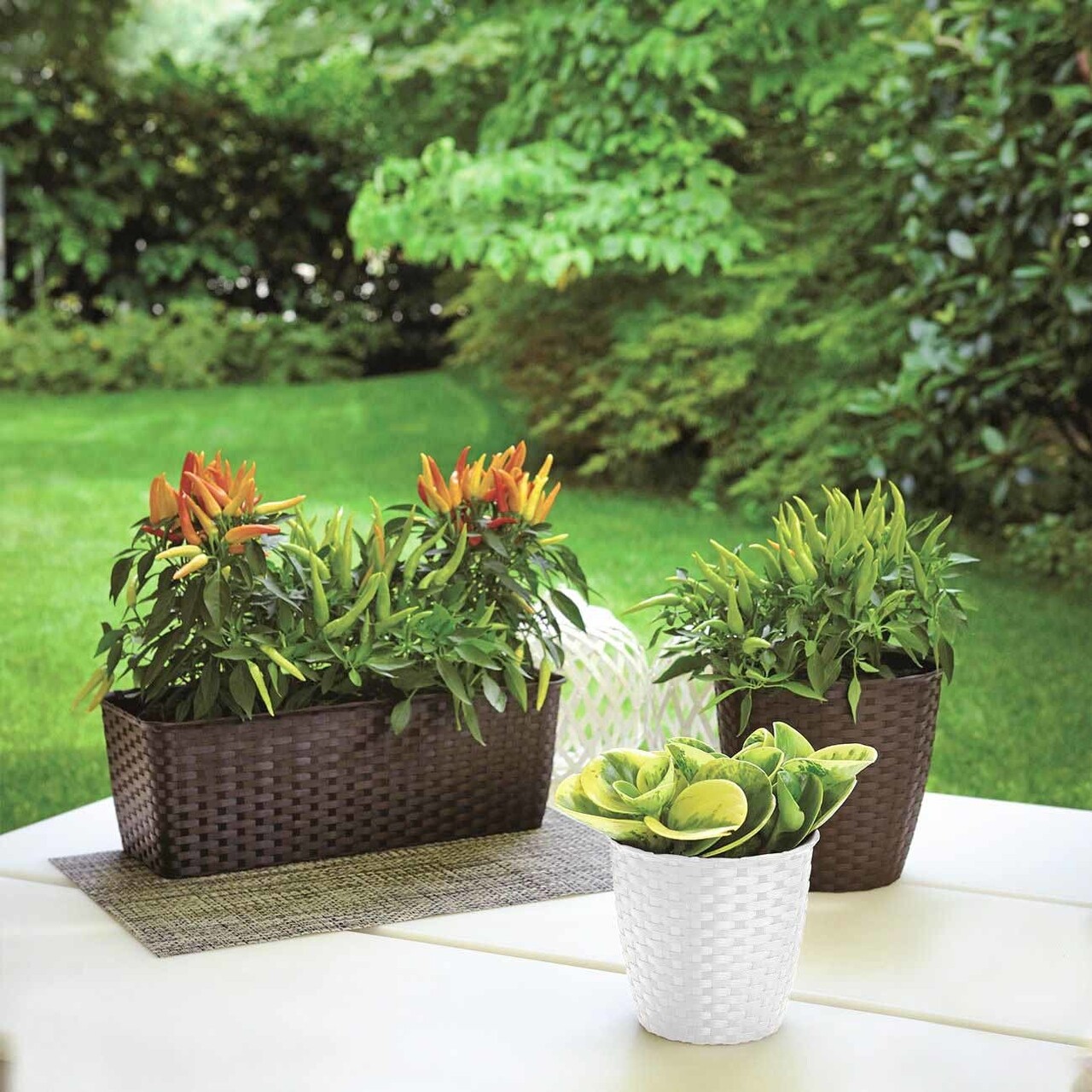 Jardiniera Rattan 50 Cm, Plastic, Alb