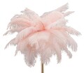 Lampa de masa Palm Pink, Mauro Ferretti, Ø40 x 55 cm, 2 x E14, 40W, fier, roz/auriu