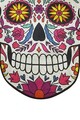 Covoras de baie, Chilai Home, Skull Djt (100 x 150), 100x150 cm, Poliester, Multicolor