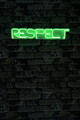 Decoratiune luminoasa LED, Respect, Benzi flexibile de neon, DC 12 V, Verde