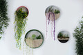 Decoratiune de perete, Beach Plum, Metal , Fier, Roz / Alb / Verde / Alb