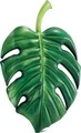 Saltea gonflabila pentru plaja Intex Palm Leaf, 213x142 cm, polivinil, verde