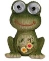 Lampa de gradina Frog, 10.8x8x16 cm, poliston, multicolor