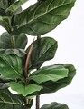 Planta artificiala in ghiveci Ficus, Bizzotto, 100 x 60 x 145 cm, 39 de frunze, verde