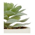 Planta artificiala Succulent plant, Ibergarden, 14x14x9 cm, plastic, alb