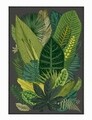 Covor Leaf, Oyo Concept, 140x220 cm, poliester, multicolor