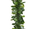 Ghirlanda decorativa Holly leaf, Decoris, 270 cm, PVC, verde