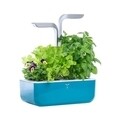 Jardiniera SMART Garden, Veritable 33 x 18.5 x 45 cm, Blue