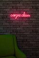 Decoratiune luminoasa LED, Carpe Diem, Benzi flexibile de neon, DC 12 V, Roz