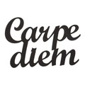 Decoratiune de perete Carpe diem, Maison in Design, 50x38 cm, otel