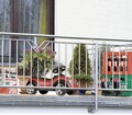 Folie paravan pentru balcon si gradina, Maximex, Wild Vine, 85 x 500 cm, plastic/pvc, multicolor