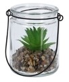 Decoratiune Aloe in jar, 8x9.7 cm, sticla