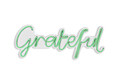 Decoratiune luminoasa LED, Grateful, Benzi flexibile de neon, DC 12 V, Verde