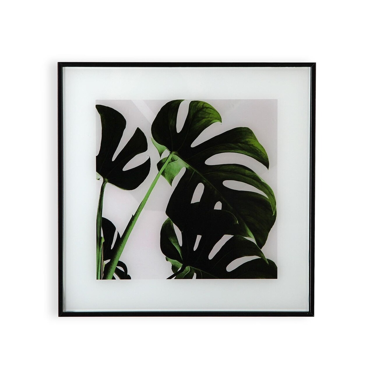 Tablou Decorativ Monstera, Versa, 30 X 30 Cm, Sticla/polistiren