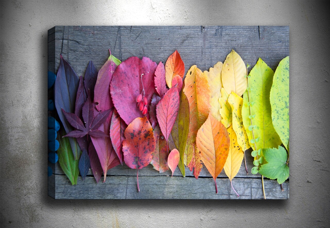 Tablou decorativ Autumn Palette, Tablo center, 70x100 cm, canvas, multicolor