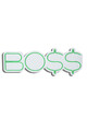 Decoratiune luminoasa LED, BOSS, Benzi flexibile de neon, DC 12 V, Verde